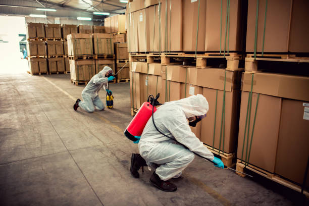 Best Local Pest Control Services  in Idalou, TX