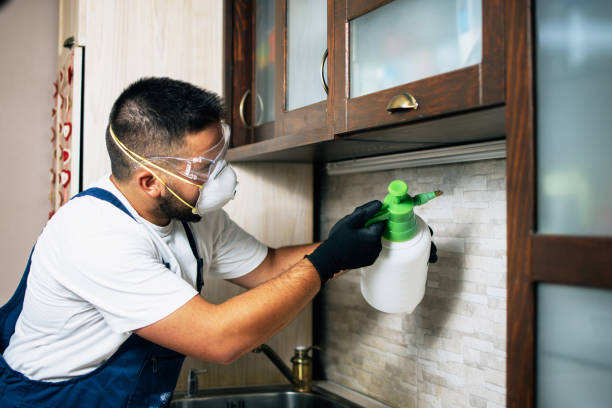 Best Affordable Pest Control Services  in Idalou, TX