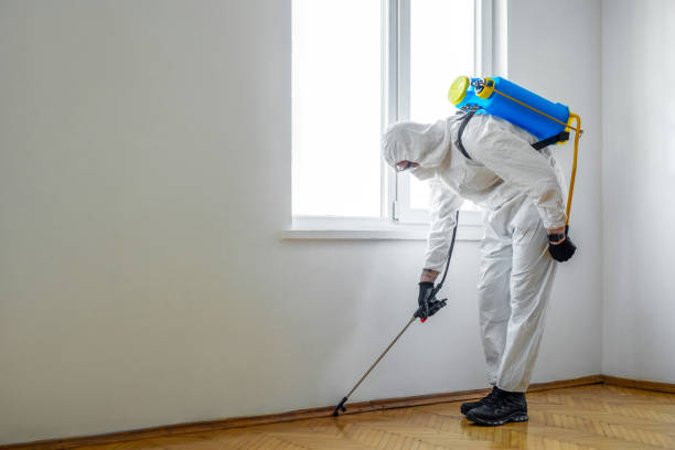 Best Pest Control for Restaurants  in Idalou, TX