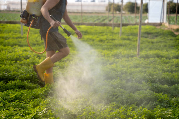 Best Best Pest Control Companies  in Idalou, TX