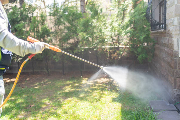 Best Mosquito Control Services  in Idalou, TX