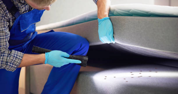 Best Commercial Pest Control Services  in Idalou, TX
