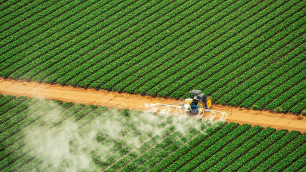 Best Insect Control  in Idalou, TX