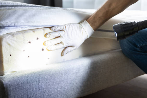 Best Residential Pest Control  in Idalou, TX