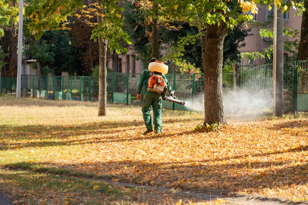 Best Flea Control Services  in Idalou, TX
