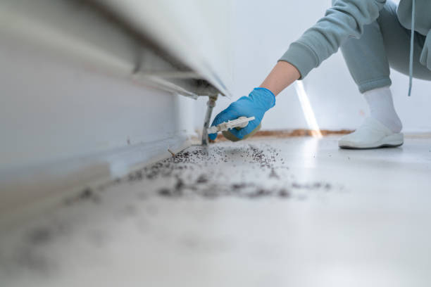 Reliable Idalou, TX Pest Control Solutions