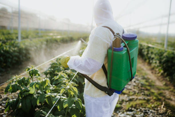Best Best Pest Control Near Me  in Idalou, TX